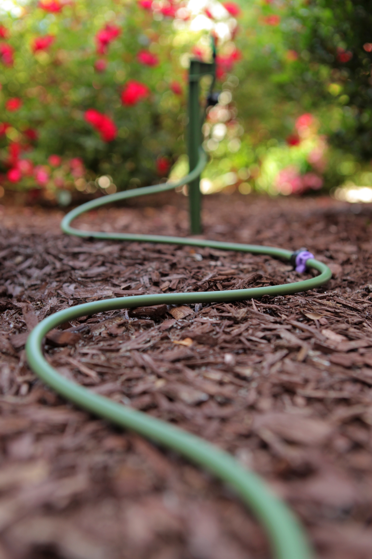 Picture of 500-ft Reel Green 1/4-in Vinyl Tubing